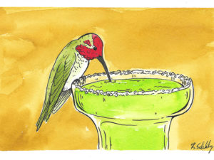 Hummingbird with a Margarita