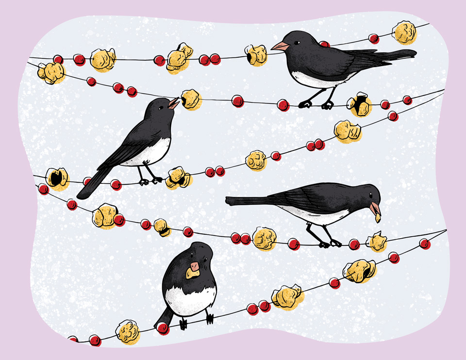 holiday card design featuring junco birds
