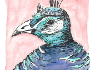 Peahen in a Tiara