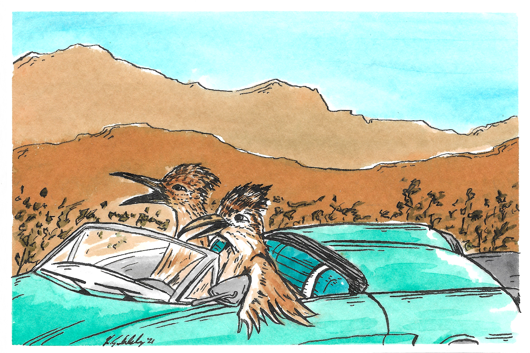 A Selection of Birds